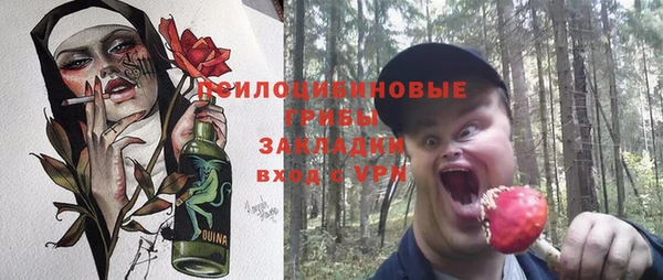 не бодяженный Алексин