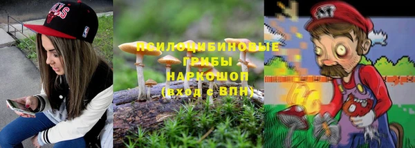 прущие крисы Козельск